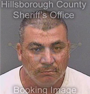 Gonzalez Roberto - Hillsborough County, FL 