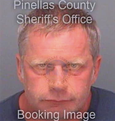 Misar Pavel - Pinellas County, FL 