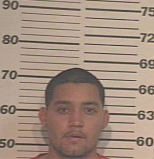 Silva Roberto - Hidalgo County, TX 