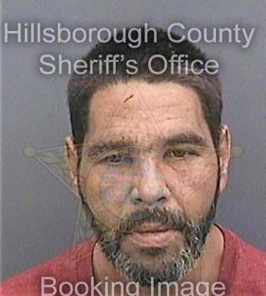 Gonzalez-Rivas Agustin - Hillsborough County, FL 