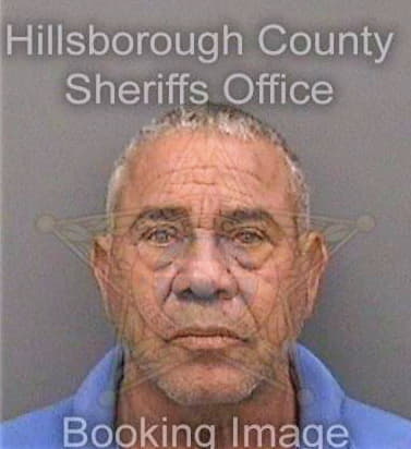 Fernandez Manuel - Hillsborough County, FL 