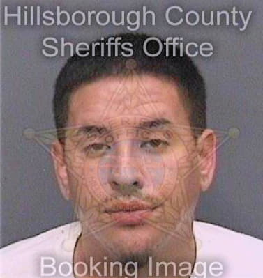 Delvalle Michael - Hillsborough County, FL 