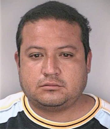 Silva Ricardo - Hillsborough County, FL 