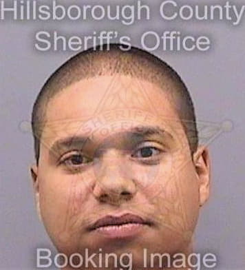 Darcyrivera Paolo - Hillsborough County, FL 