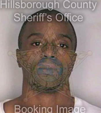 Black Damon - Hillsborough County, FL 