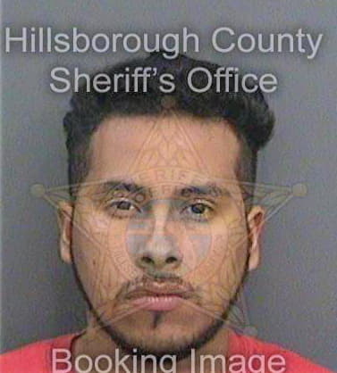 Salgadomontes Gilberto - Hillsborough County, FL 