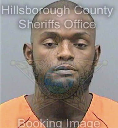 Brinson Raymond - Hillsborough County, FL 