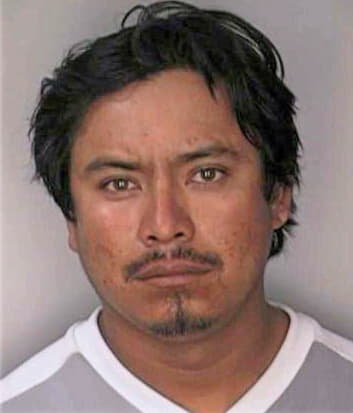 Meza Lazaro - Hillsborough County, FL 