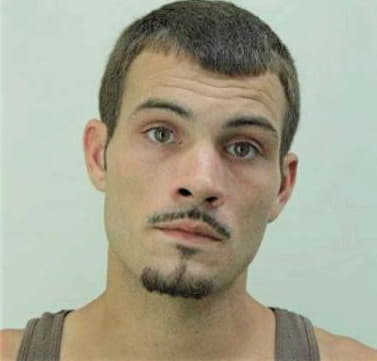 Mcnally Mark - Hillsborough County, FL 