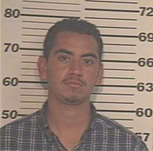 Hernandez Fernando - Hidalgo County, TX 