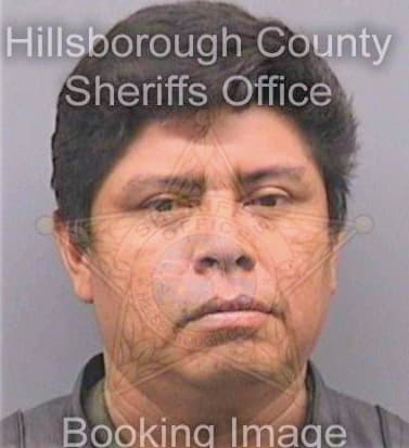 Pereidacruz Jorge - Hillsborough County, FL 