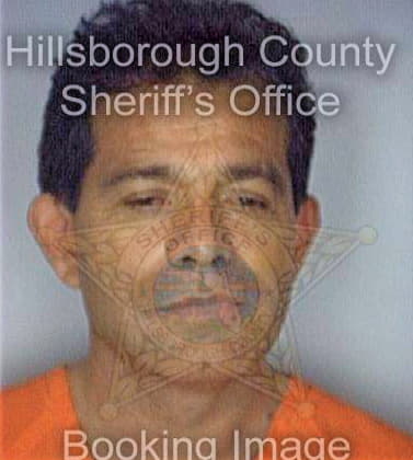 Dorantes Jorge - Hillsborough County, FL 