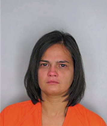 Blakley Silvania - Hillsborough County, FL 