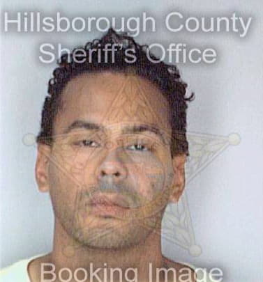 Perez Juan - Hillsborough County, FL 