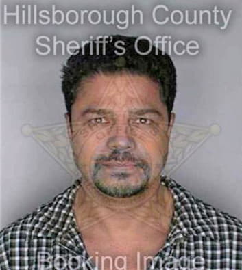 Delgado Felix - Hillsborough County, FL 