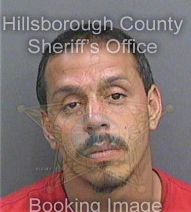 Ramos Luis - Hillsborough County, FL 