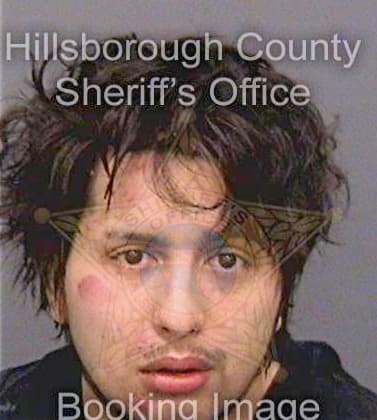 Bohorquezcondo Diego - Hillsborough County, FL 