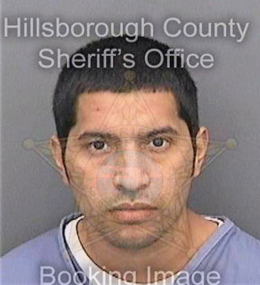 Medina Juan - Hillsborough County, FL 