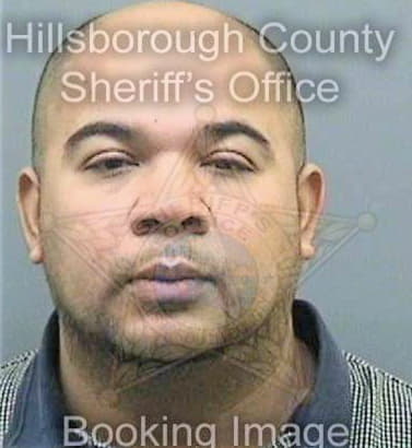 Solorzano William - Hillsborough County, FL 