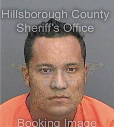 Padillaguerrero Virgilio - Hillsborough County, FL 