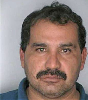 Gonzalez Humberto - Hillsborough County, FL 