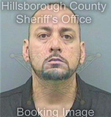 Costanzo Adam - Hillsborough County, FL 