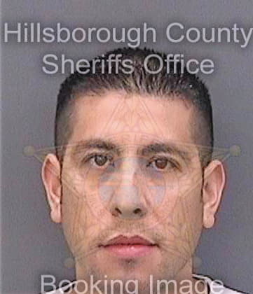 Delgadillo Cesar - Hillsborough County, FL 