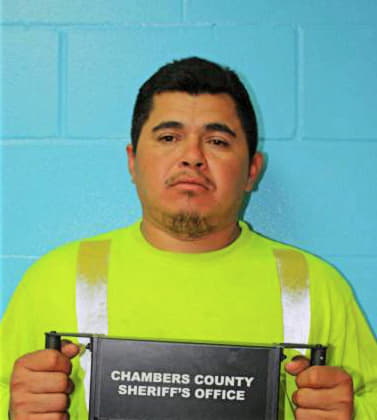 Hernandez-Alvarez Jose - Chambers County, TX 