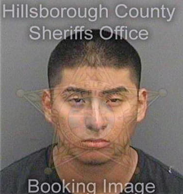 Regino Mario - Hillsborough County, FL 