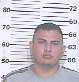 Gonzalez Hector - Hidalgo County, TX 