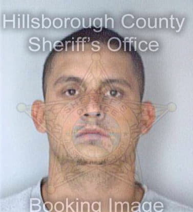 Thomas Christopher - Hillsborough County, FL 