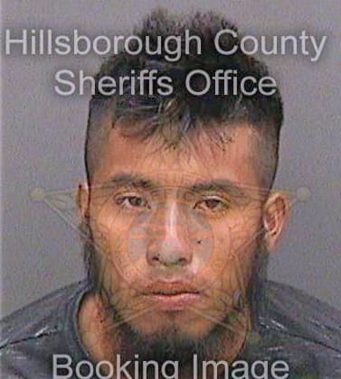 Garcia Pedro - Hillsborough County, FL 