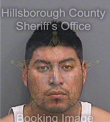 Sandobalgonzalez Lazaro - Hillsborough County, FL 