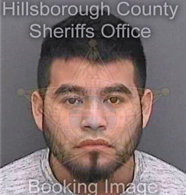Silvareyes Mariano - Hillsborough County, FL 
