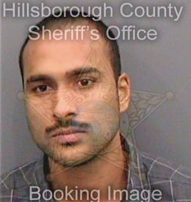 Hamid Aleem - Hillsborough County, FL 