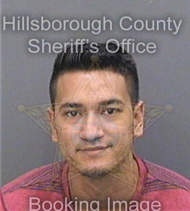 Cesani Jeremiah - Hillsborough County, FL 