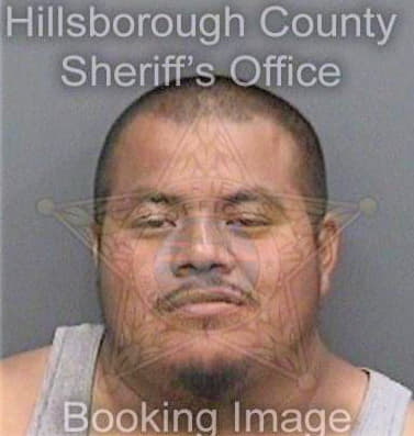 Miguel Juan - Hillsborough County, FL 