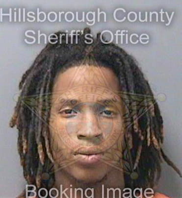 Lott Raymond - Hillsborough County, FL 