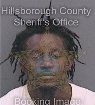 Stephens Dontario - Hillsborough County, FL 