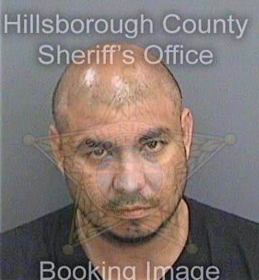 Conde David - Hillsborough County, FL 