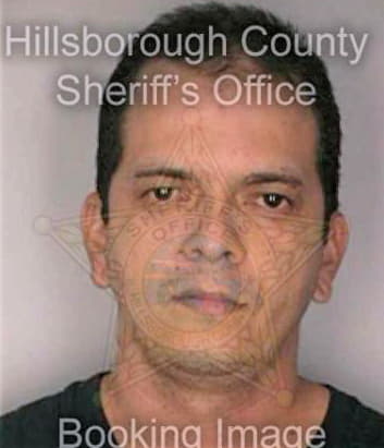 Santascruz David - Hillsborough County, FL 