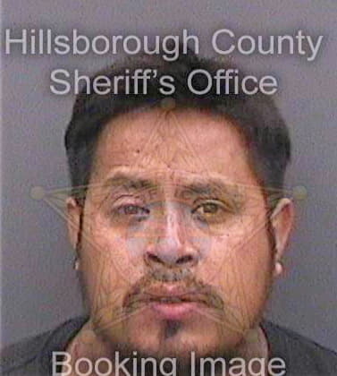 Vasquezjimenez Faustino - Hillsborough County, FL 