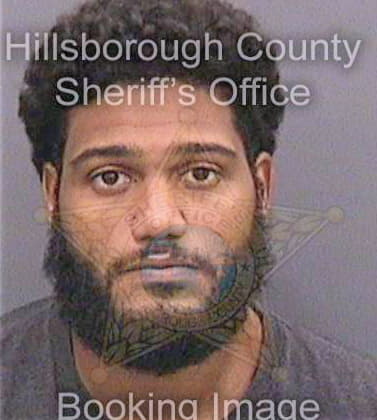 Fernandez Gabriel - Hillsborough County, FL 