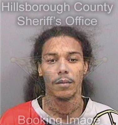 Ferrer William - Hillsborough County, FL 