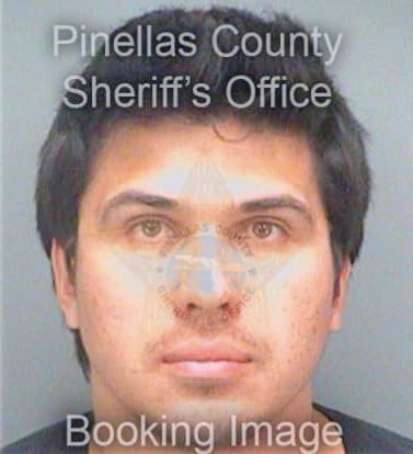 Garcia Ivan - Pinellas County, FL 