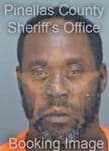 Miffin Lamar - Pinellas County, FL 