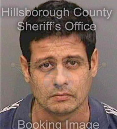 Patel Gaurav - Hillsborough County, FL 