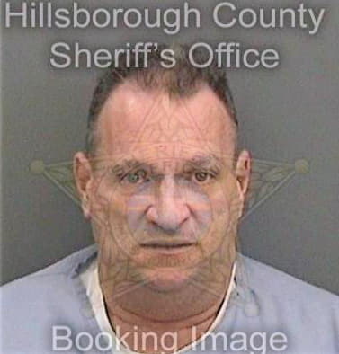 Gonzalez Alfonso - Hillsborough County, FL 