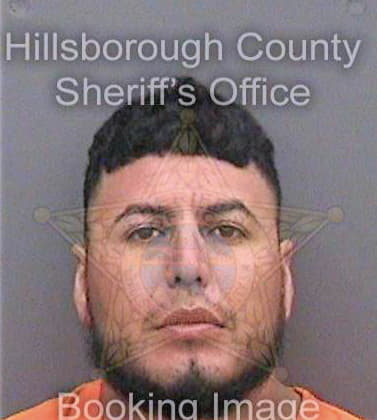 Silverioangeles Diego - Hillsborough County, FL 