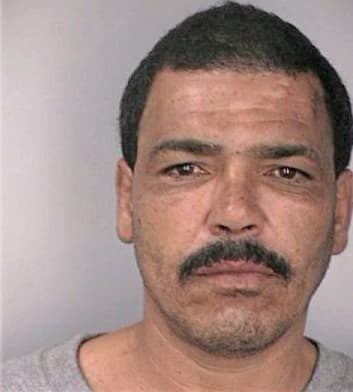 Melendez Bartolo - Hillsborough County, FL 